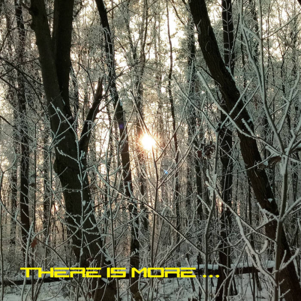 V/A - There is more... (2CD)